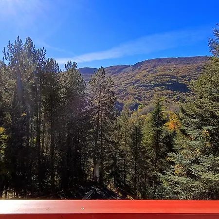 Abetina - Piccola Svizzera טאליאקוצו